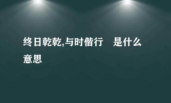 终日乾乾,与时偕行 是什么意思
