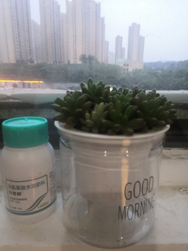 植来自物怎么过冬图片