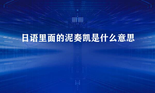 日语里面的泥奏凯是什么意思