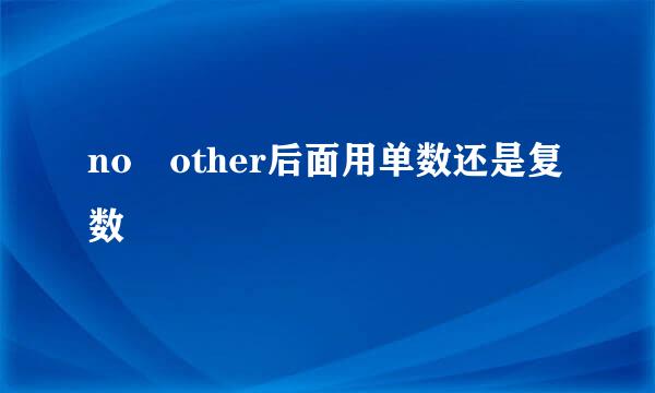 no other后面用单数还是复数