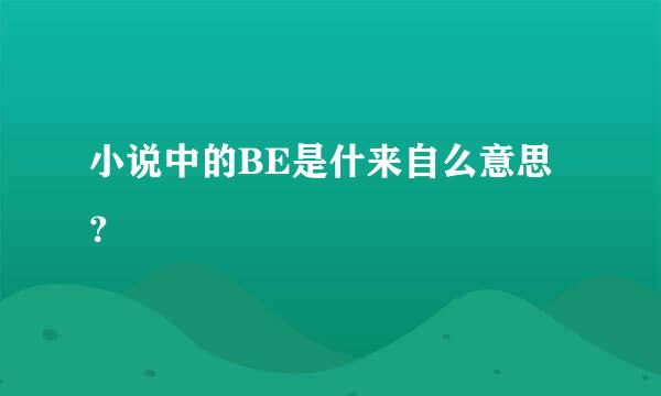 小说中的BE是什来自么意思？