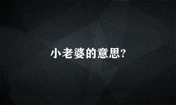 小老婆的意思?