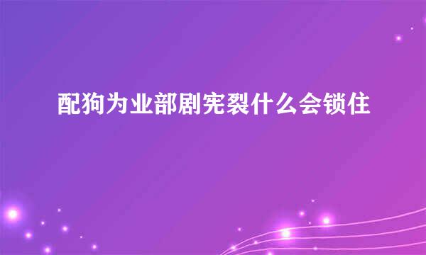 配狗为业部剧宪裂什么会锁住