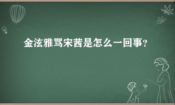 金泫雅骂宋茜是怎么一回事？