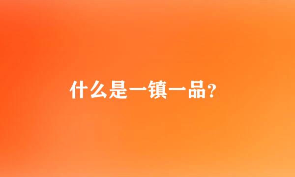 什么是一镇一品？