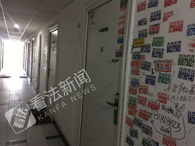 创业明星茅侃侃为什么自杀