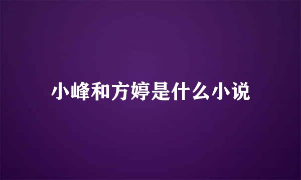 小峰和方婷是什么小说