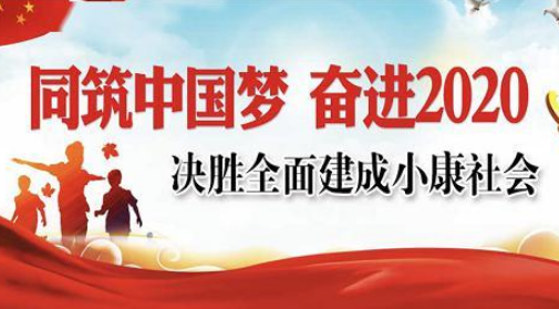 2020站象片际服破略年历接年是全面建成小康社会目标的什么年？