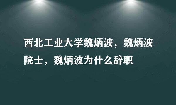 西北工业大学魏炳波，魏炳波院士，魏炳波为什么辞职