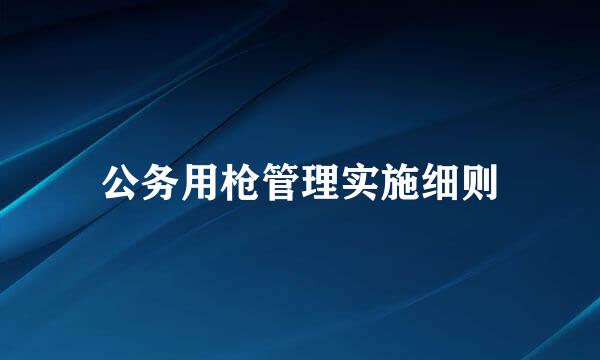 公务用枪管理实施细则