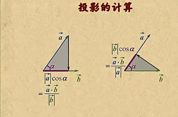 向量的投影是什么?