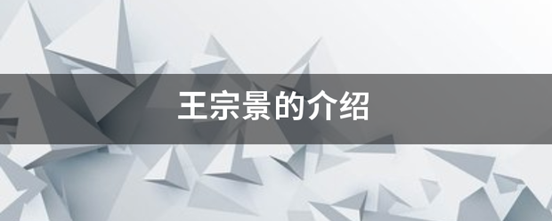 王宗景的介绍