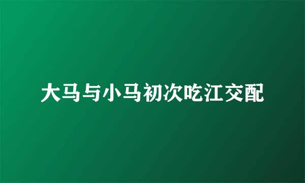 大马与小马初次吃江交配
