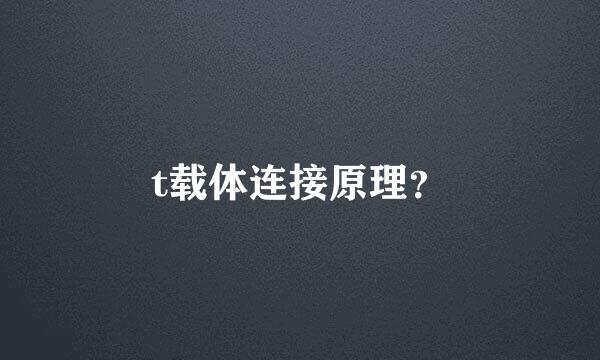 t载体连接原理？