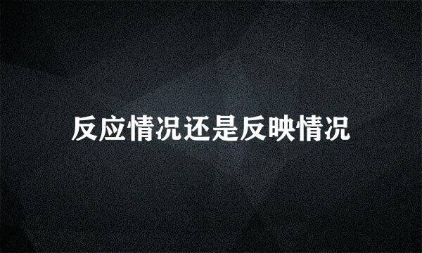 反应情况还是反映情况