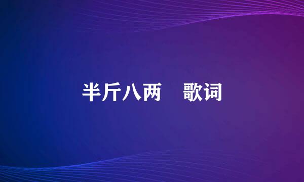 半斤八两 歌词
