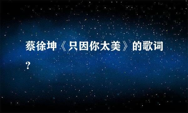 蔡徐坤《只因你太美》的歌词？