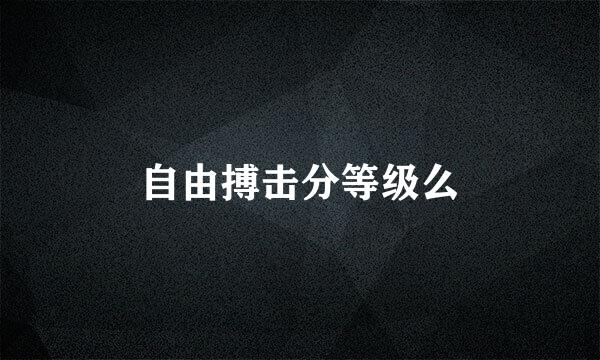自由搏击分等级么