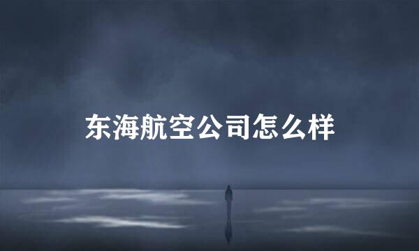 东海航空公司怎么样