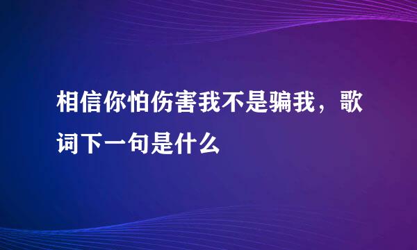 相信你怕伤害我不是骗我，歌词下一句是什么