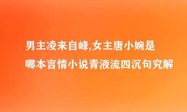 男主凌来自峰,女主唐小婉是哪本言情小说青液流四沉句究解