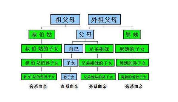 什么是直系亲属?直系亲属包括哪些人?