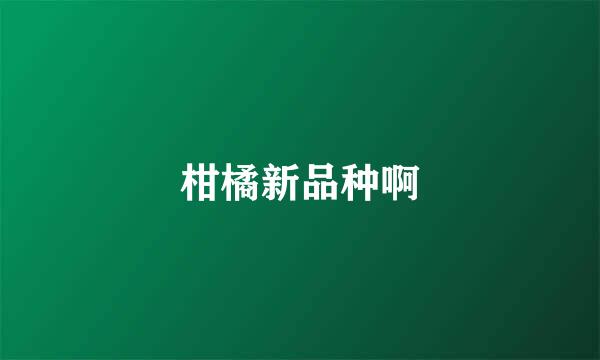 柑橘新品种啊