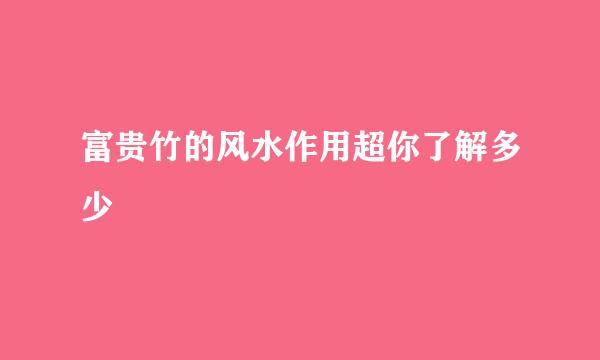 富贵竹的风水作用超你了解多少
