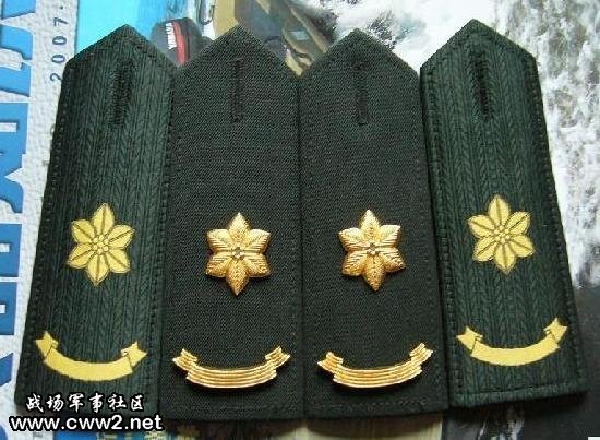 部队文艺兵等肩章是颗什么星