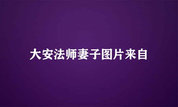 大安法师妻子图片来自