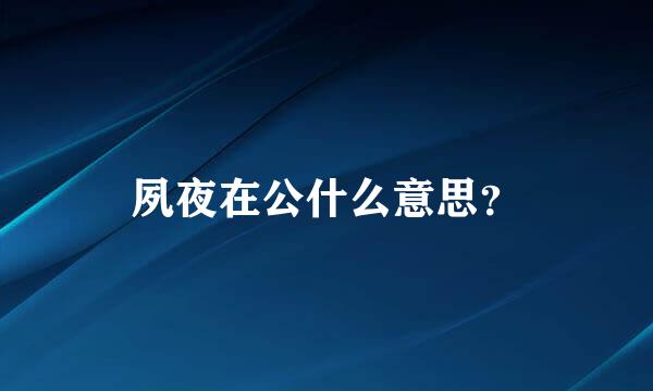 夙夜在公什么意思？