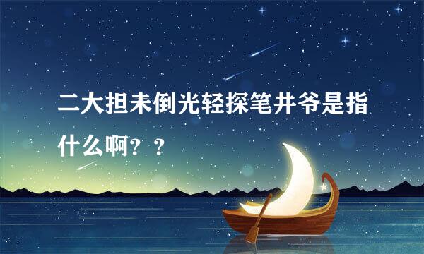 二大担未倒光轻探笔井爷是指什么啊？？