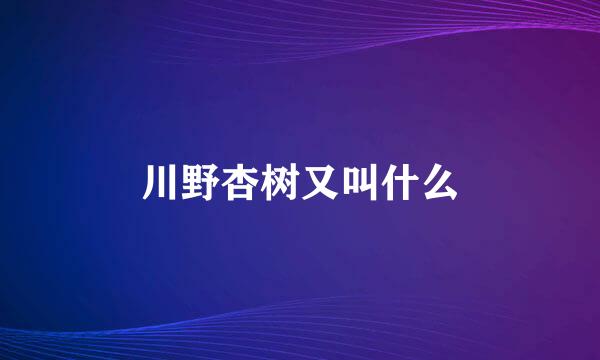 川野杏树又叫什么