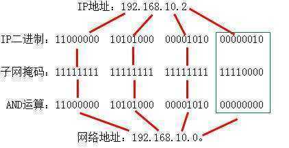 子网掩码为255.255.255.0代表的意思是什么？