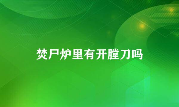 焚尸炉里有开膛刀吗