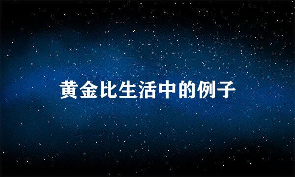 黄金比生活中的例子