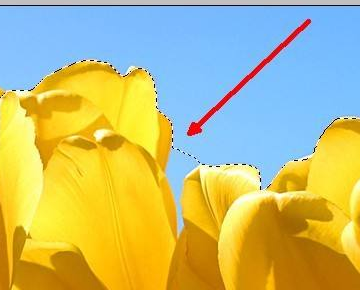 photoshop cs5如来自何将图片边缘与背景色相融合