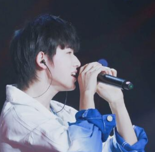 宋亚轩的《兰花草》歌词是什么?
