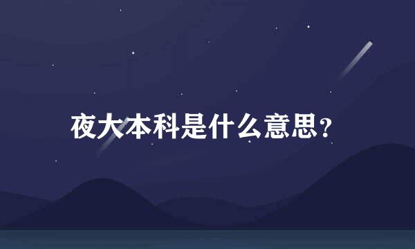 夜大本科是什么意思？