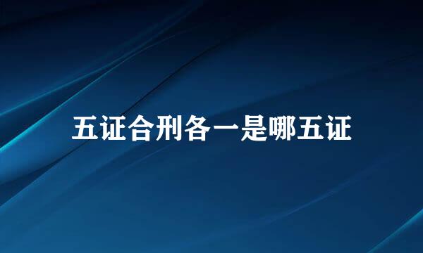 五证合刑各一是哪五证