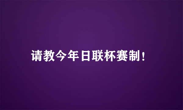 请教今年日联杯赛制！