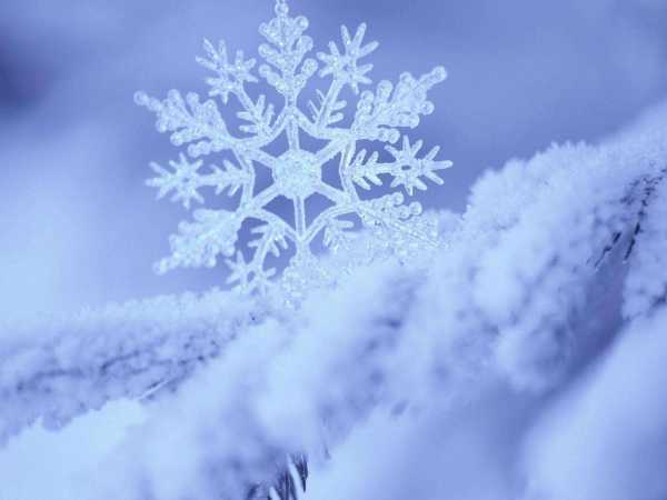 雪落下的声音陆虎来自歌词