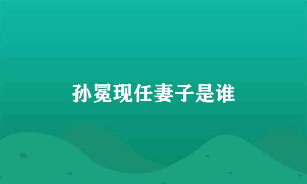 孙冕现任妻子是谁