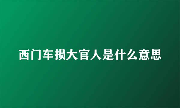 西门车损大官人是什么意思