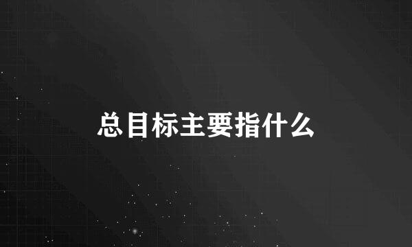总目标主要指什么