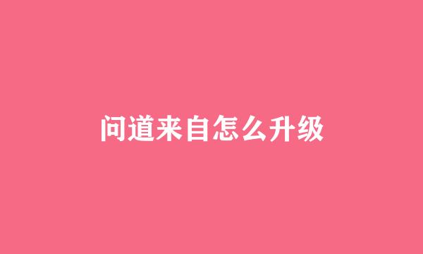 问道来自怎么升级