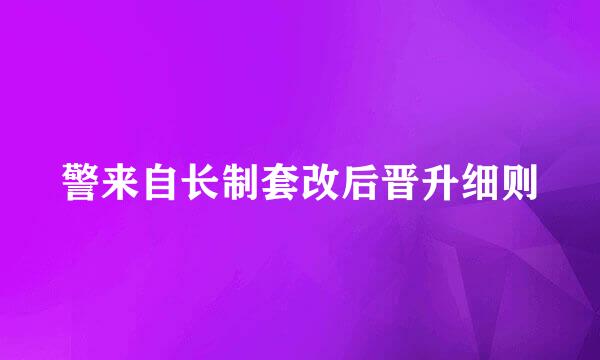 警来自长制套改后晋升细则