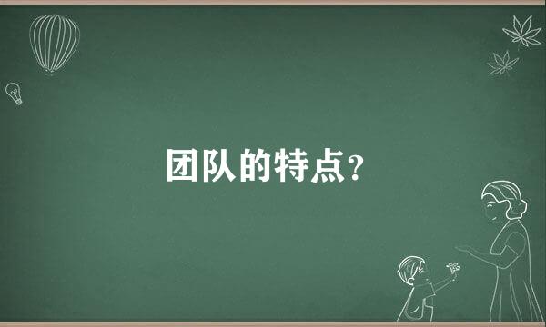 团队的特点？