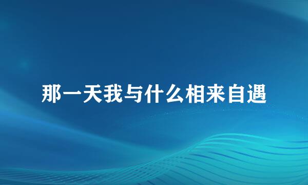 那一天我与什么相来自遇