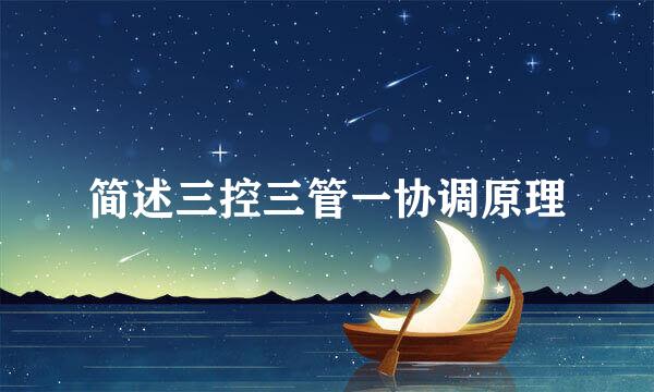 简述三控三管一协调原理